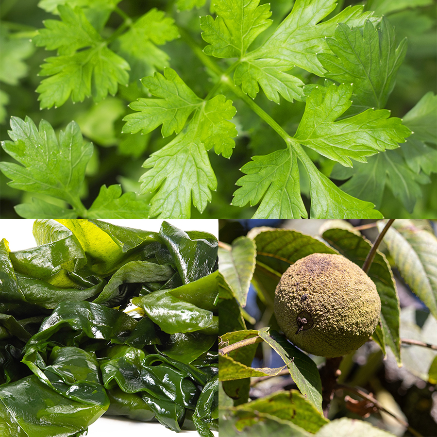 Herbal Thyroid Care (120 ct)